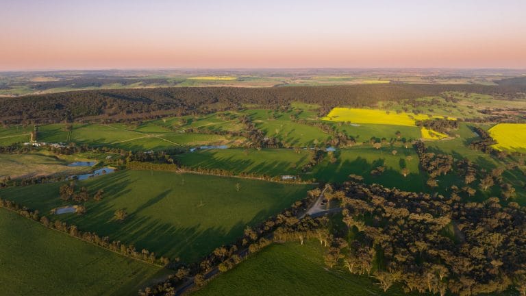 Hunter Valley